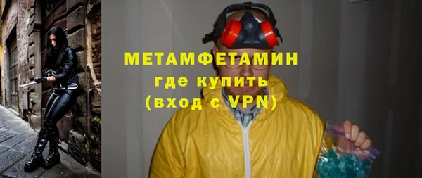 прущие грибы Коряжма