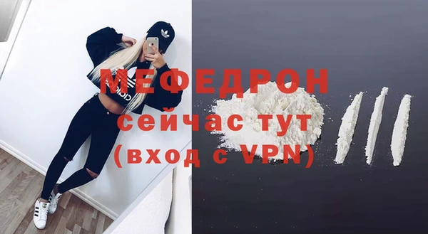 шишки Корсаков