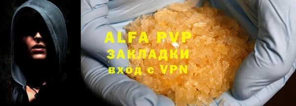 прущие грибы Коряжма