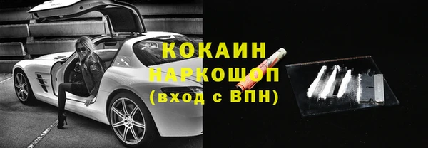 шишки Корсаков