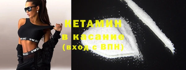 шишки Корсаков