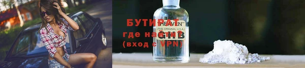 шишки Корсаков