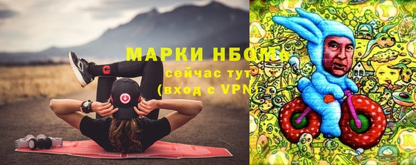 прущие грибы Коряжма