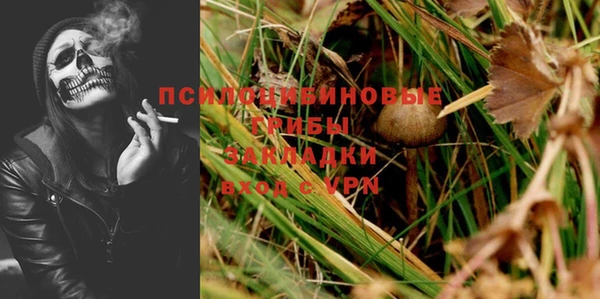 прущие крисы Костерёво