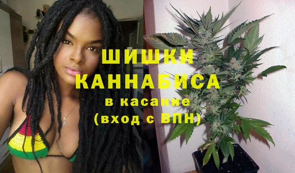 прущие грибы Коряжма