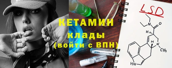 шишки Корсаков