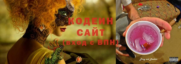 шишки Корсаков