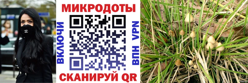 кракен рабочий сайт  что такое наркотик  Киржач  Псилоцибиновые грибы MAGIC MUSHROOMS 